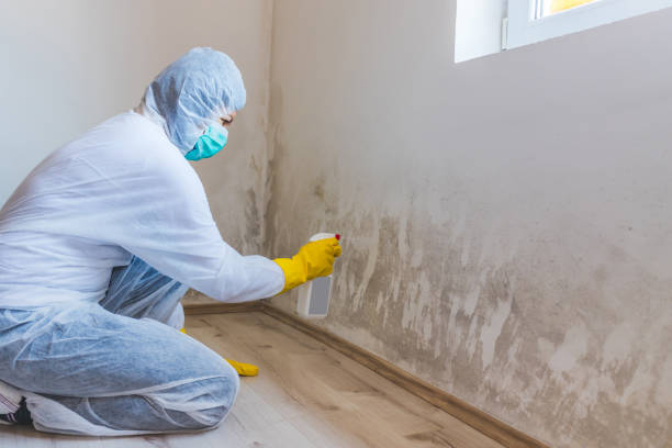 Hvac And Air Duct Mold Remediation inspection of HVAC system in Fanwood