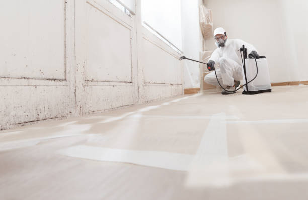 Black mold remediation team in Fanwood